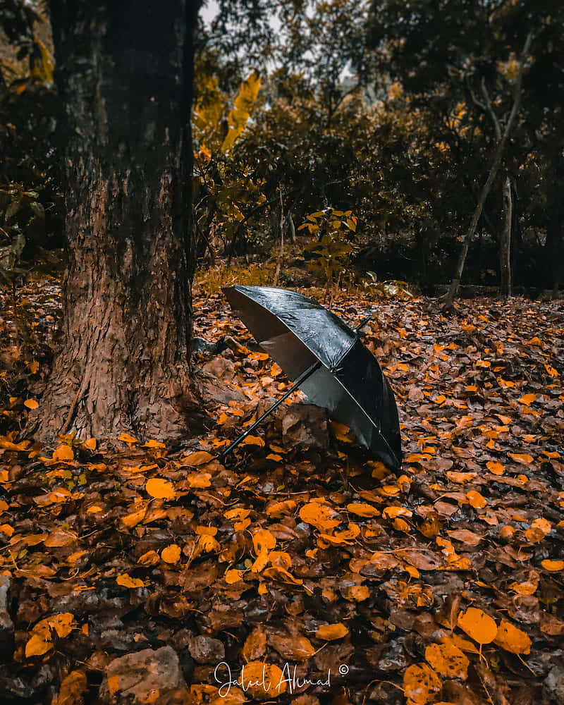 Fall Aesthetic Macbook Umbrella Wallpaper