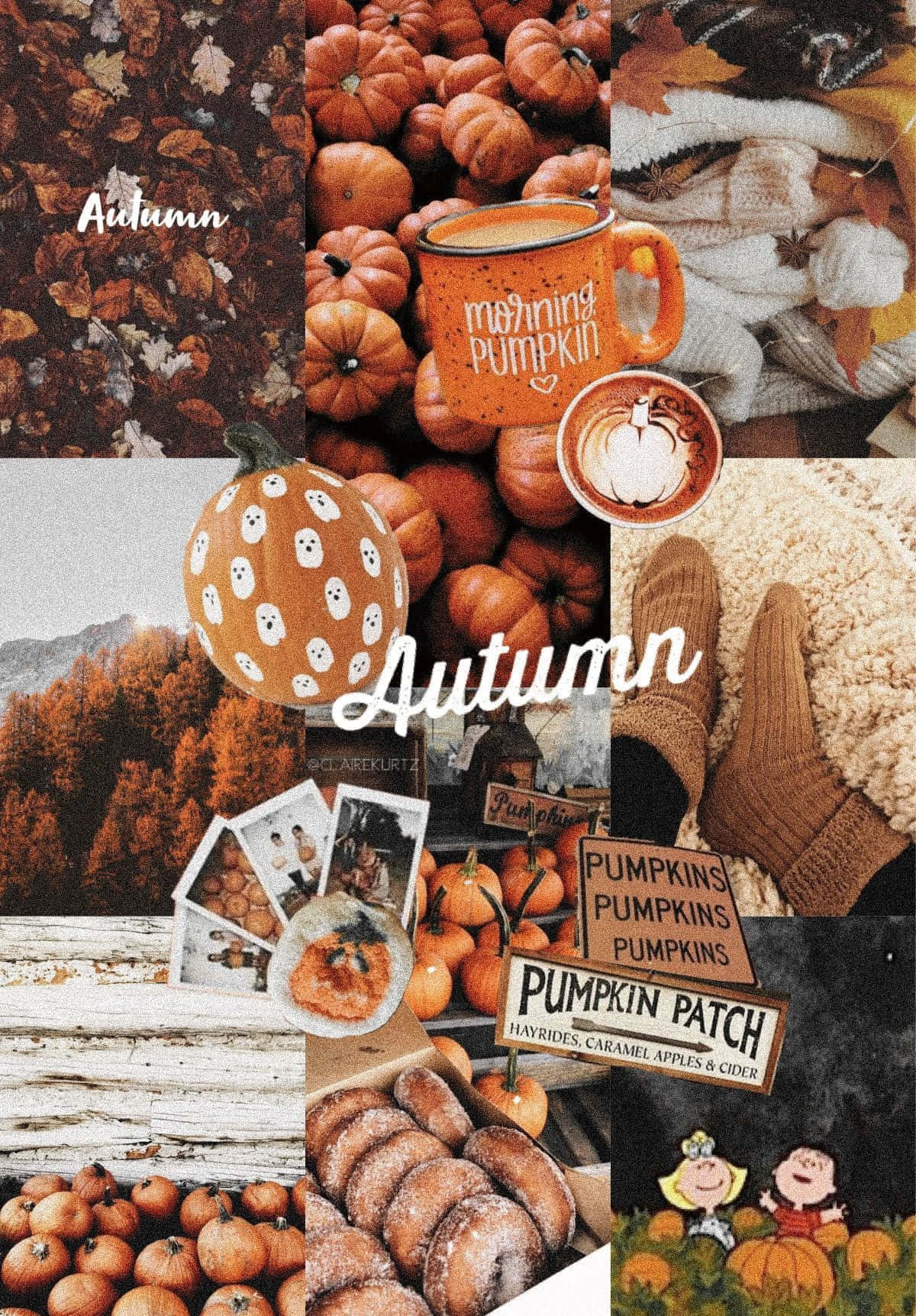 Fall Collage And Pumpkin Patches Wallpaper