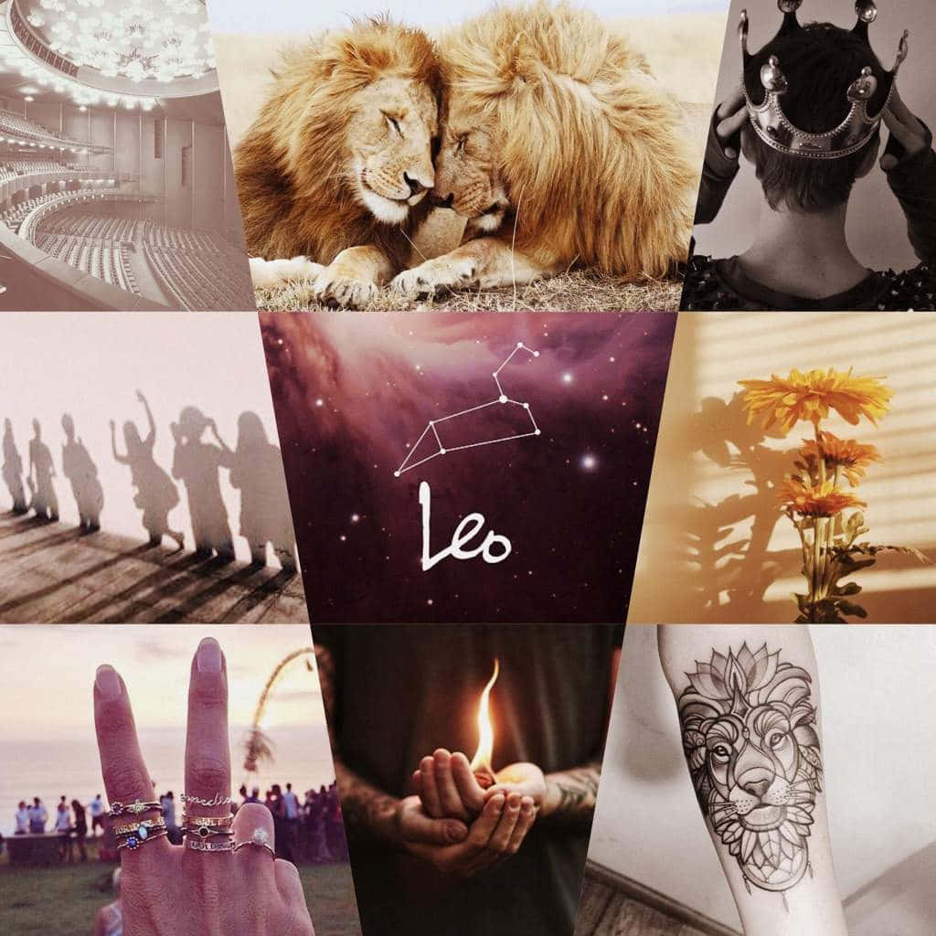 Fall In Love With Leo Aesthetics Wallpaper