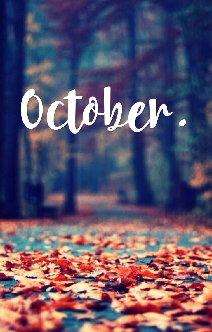 Fall October Text Forest Wallpaper