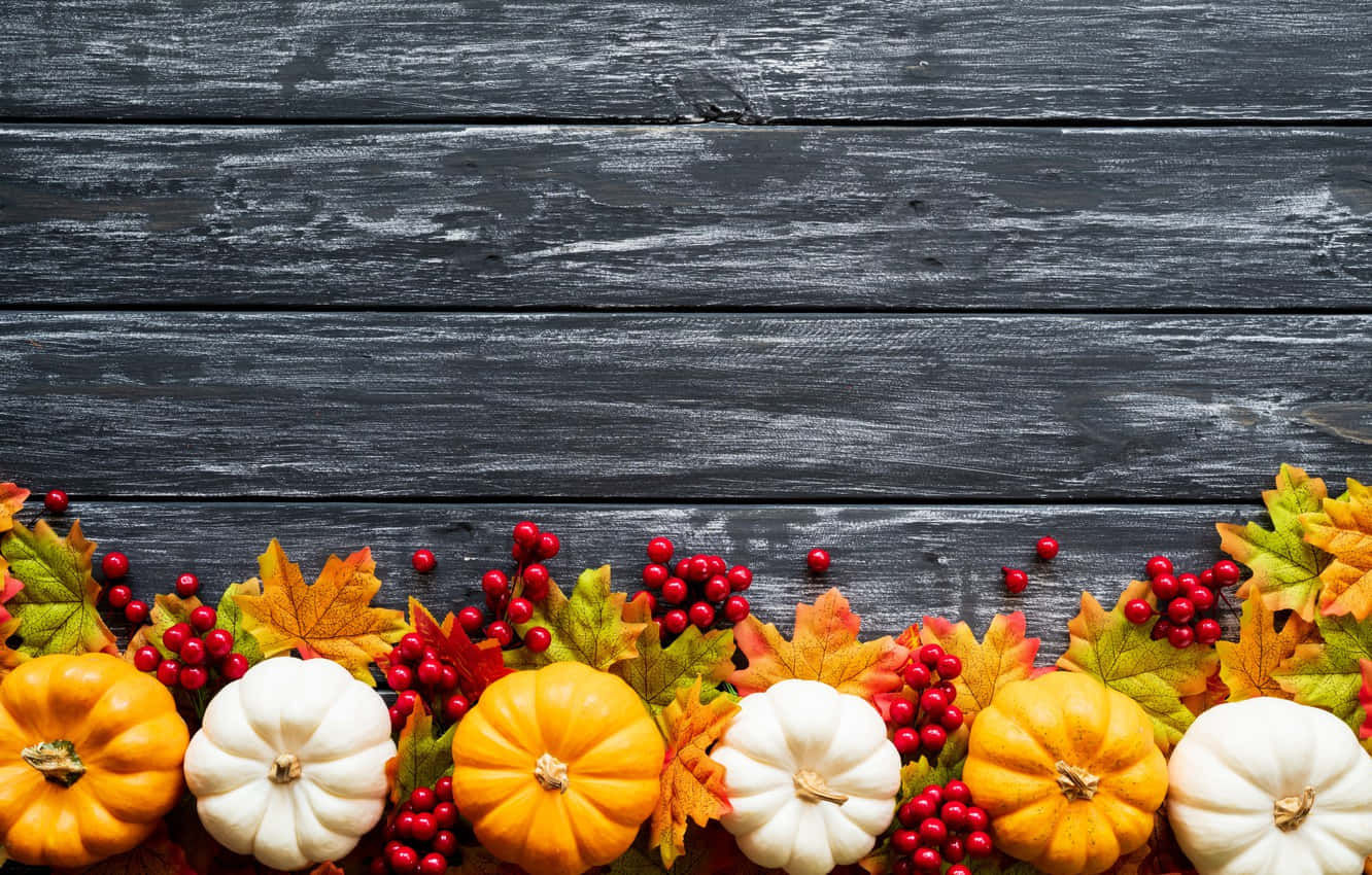 Fall Pumpkin Harvest Wallpaper