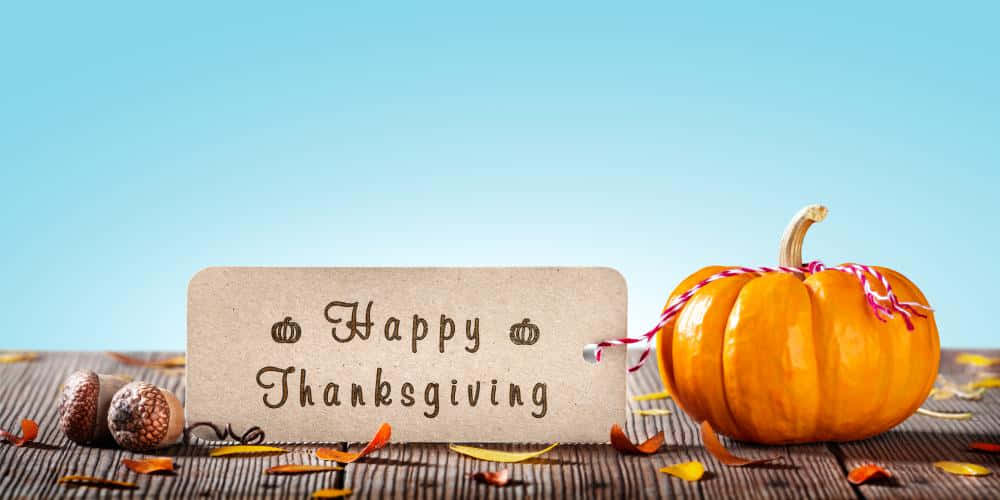 Fall Thanksgiving With Large Pumpkin Wallpaper