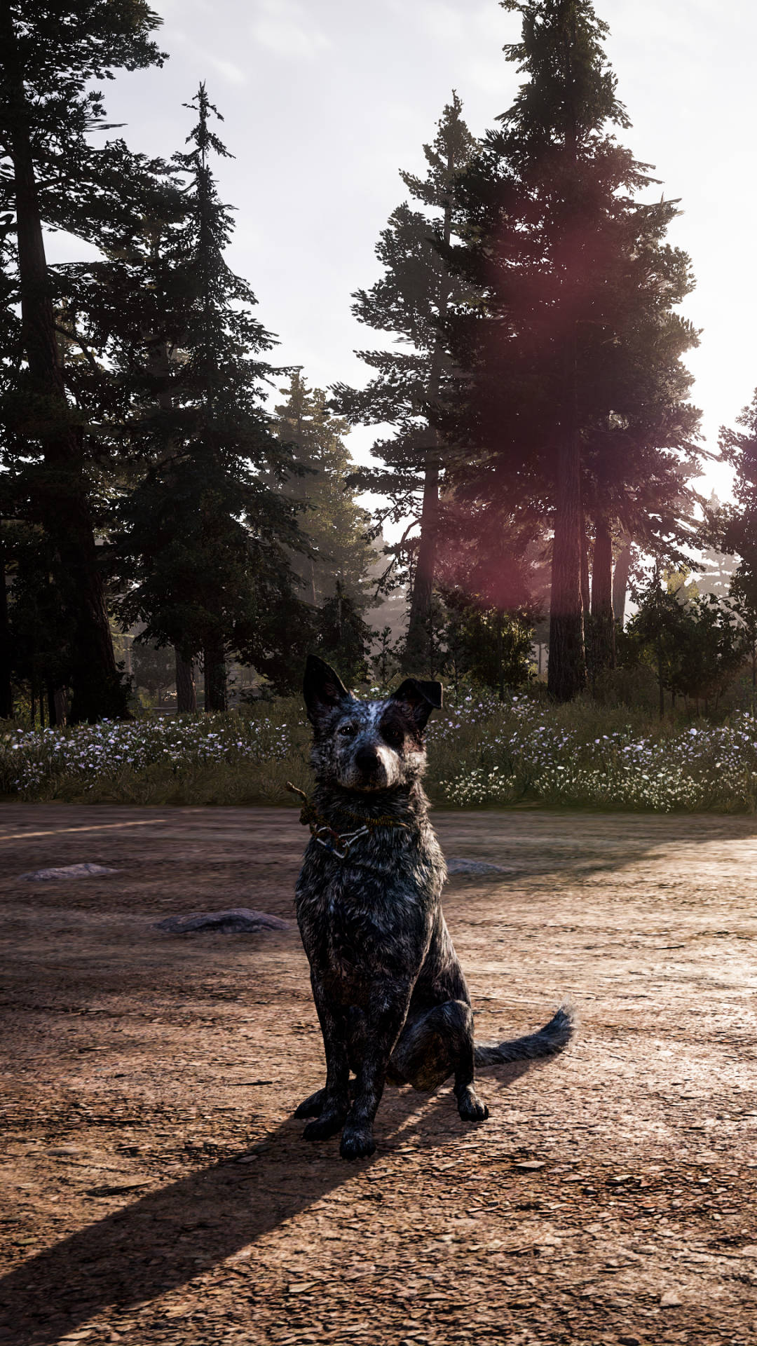 Download free Far Cry 5 Boomer Forest Iphone Wallpaper - MrWallpaper.com