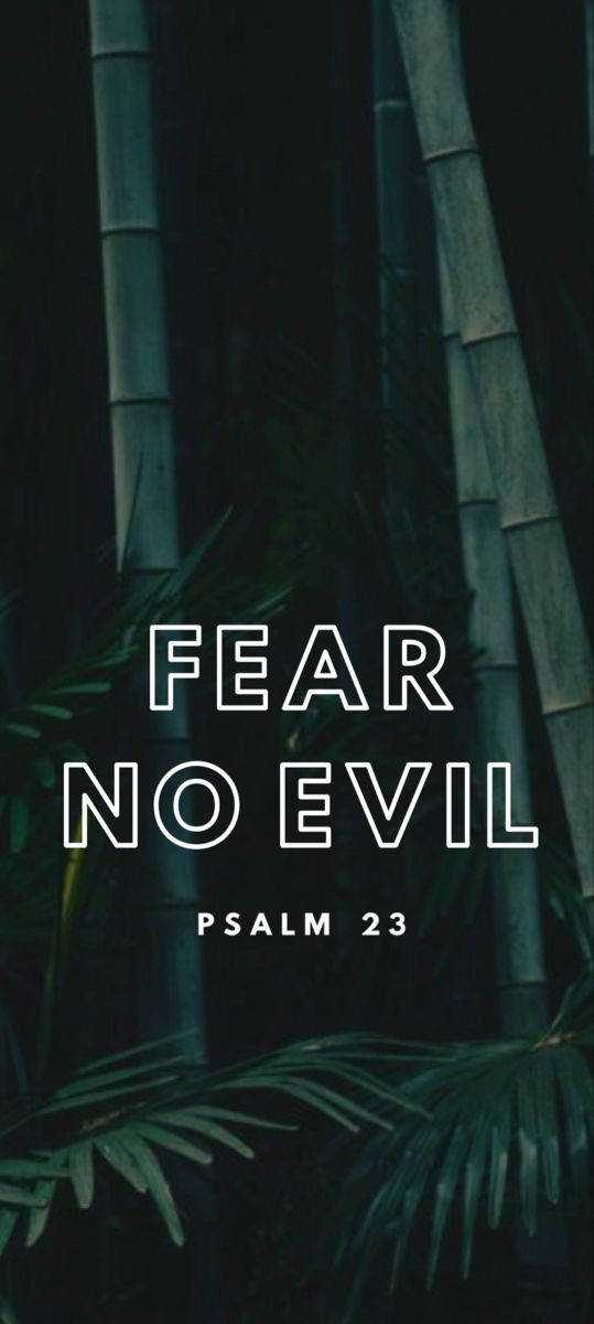 Fear No Evil Psalm23 Bamboo Background Wallpaper