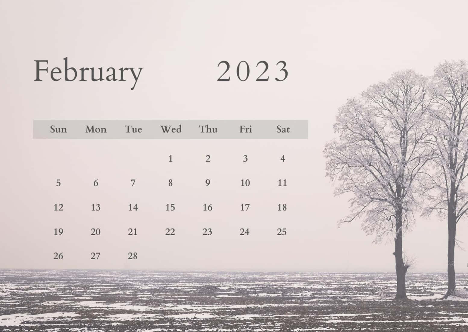 February 2023 Calendar With Trees In The Snow Wallpaper
