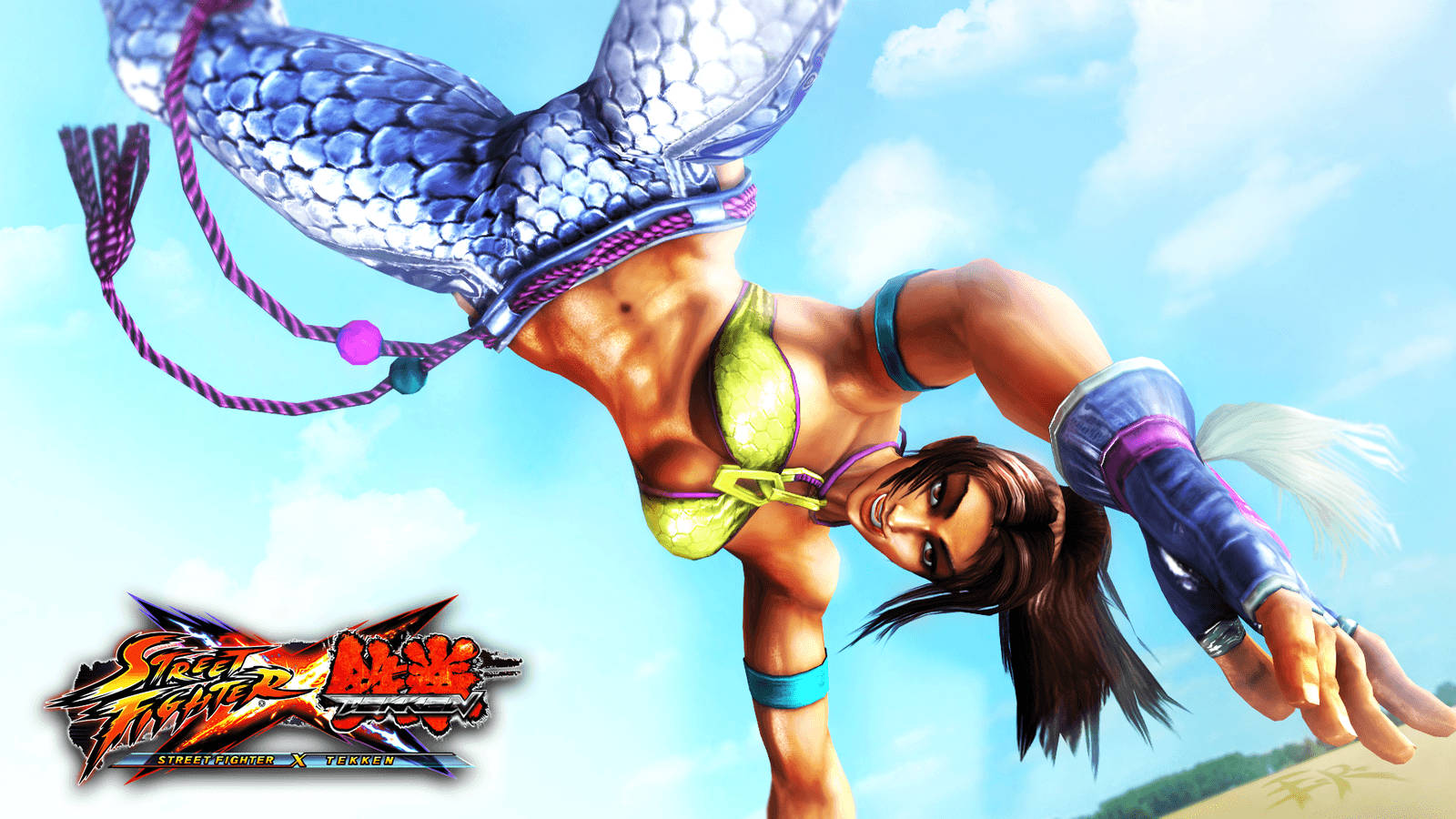 Female Capoeira Fighter From Tekken Wallpaper