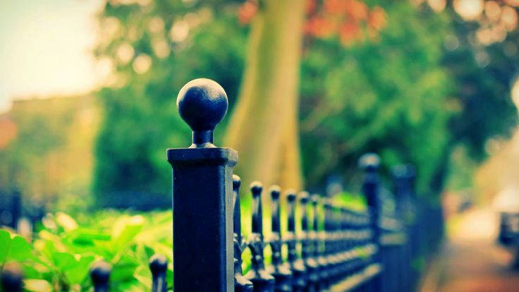 Fence Focus Hd Photography Wallpaper