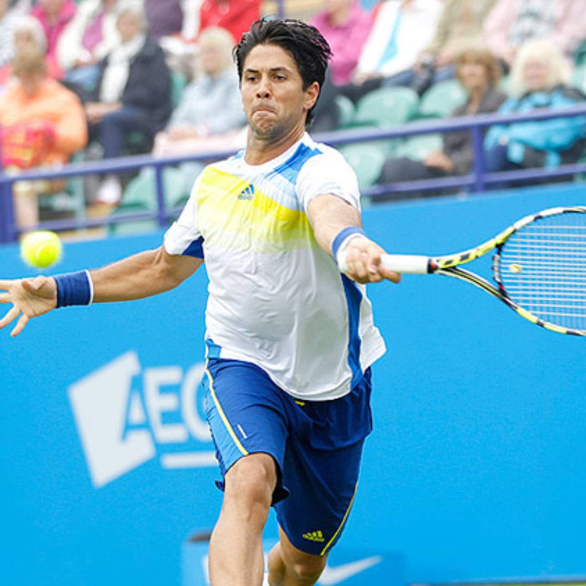 Fernando Verdasco Shaven Wallpaper