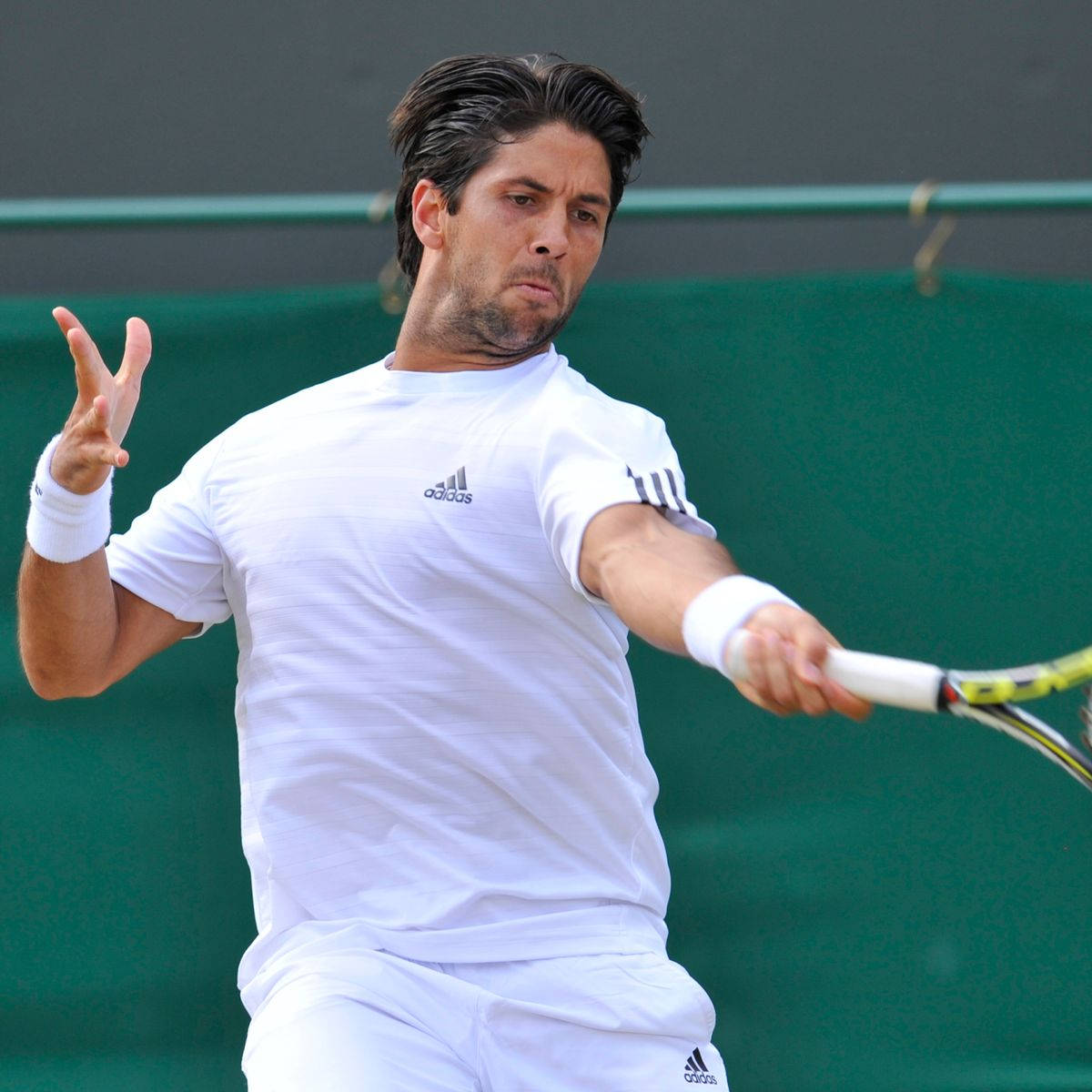 Fernando Verdasco With Adidas Wallpaper