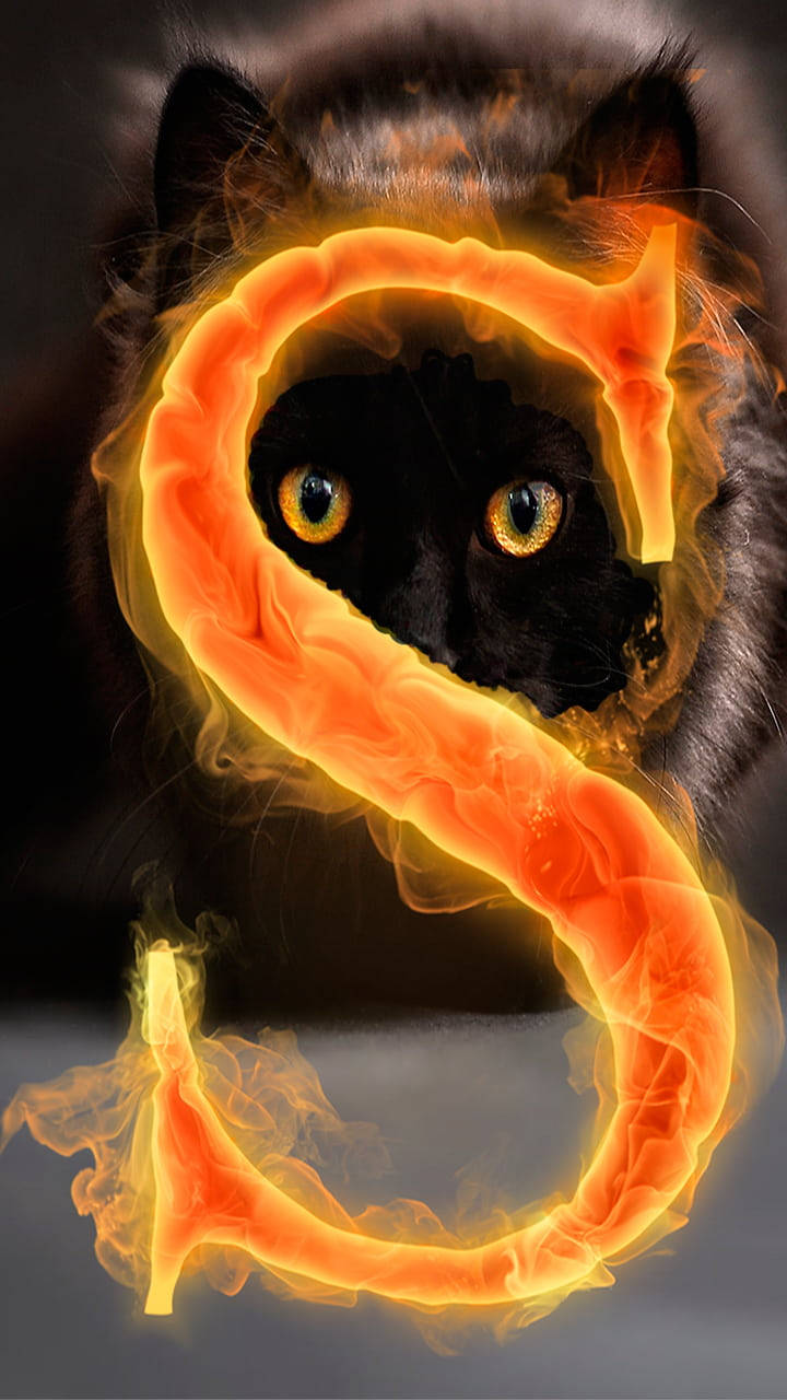Fiery Cat S Alphabet Wallpaper