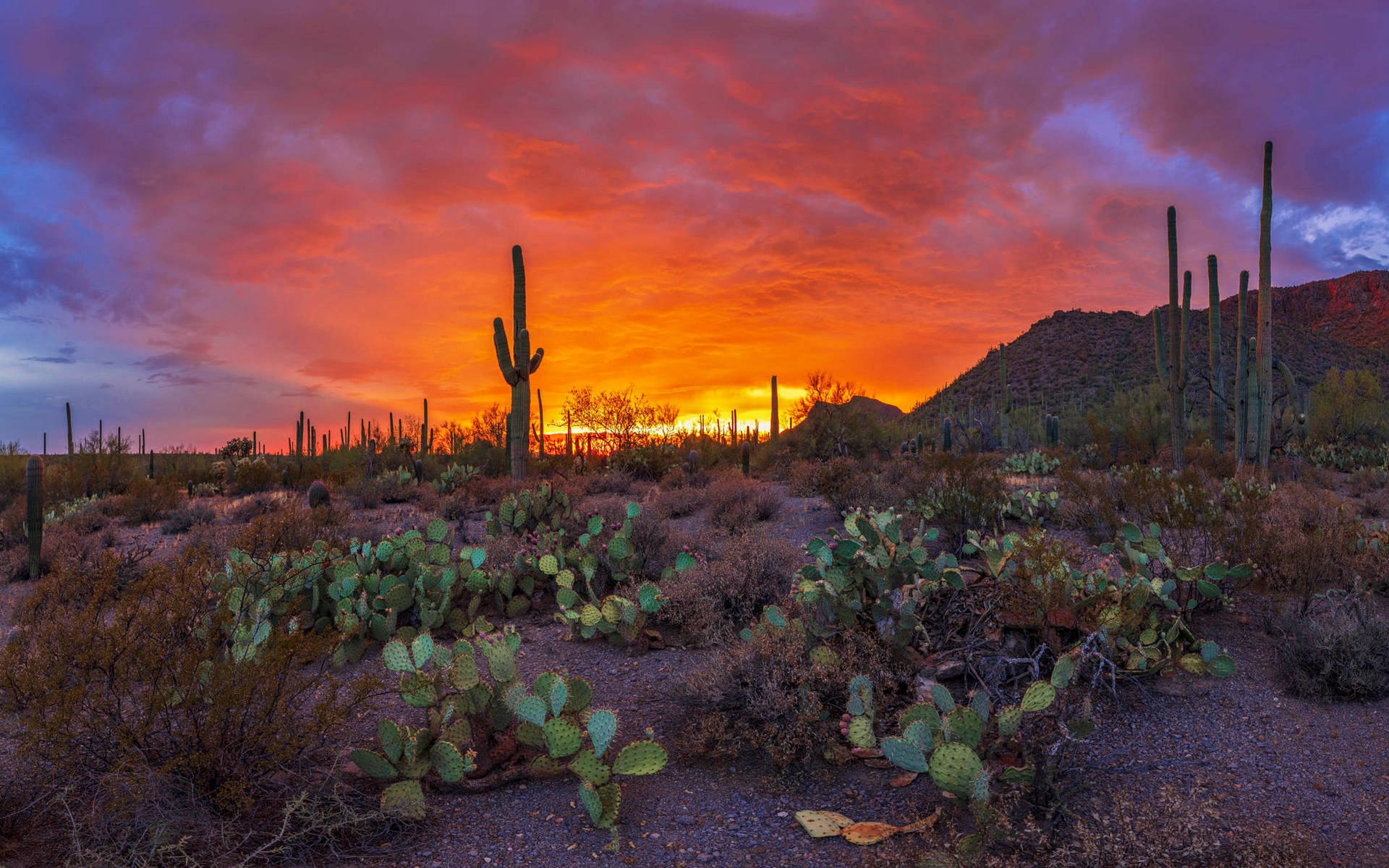 Wallpapers arizona, desert mountains, desert, dirt, nature