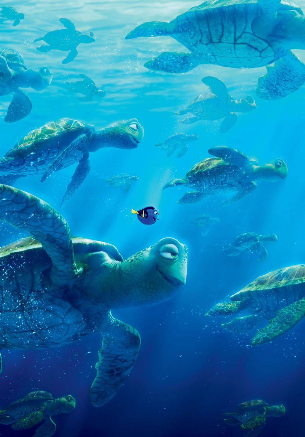 Finding Nemo Dory With Turtles Wallpaper