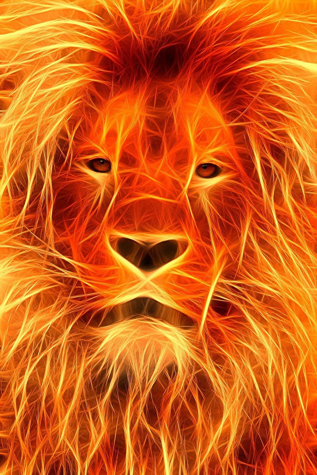 Fire Lion Face Wallpaper