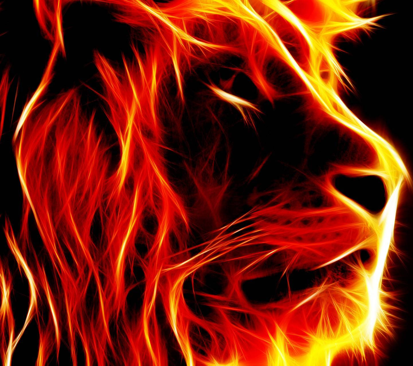 Fire Lion Side Profile Graphic Wallpaper