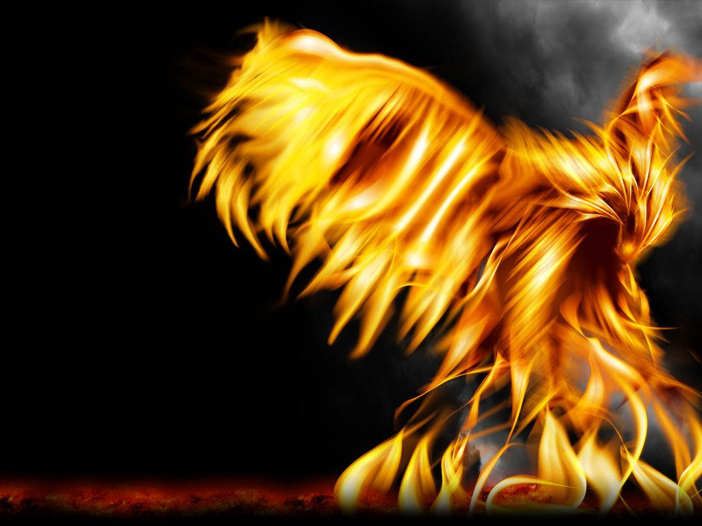 Fire Phoenix Black Background Wallpaper