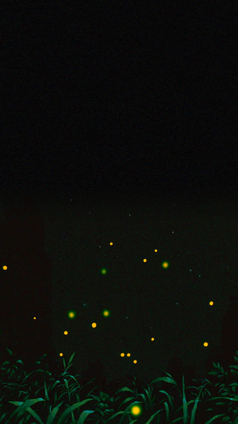 Fireflies Cool Android Wallpaper