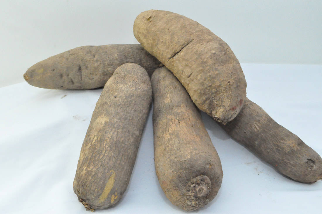 Five Root Vegetable Yams Wallpaper