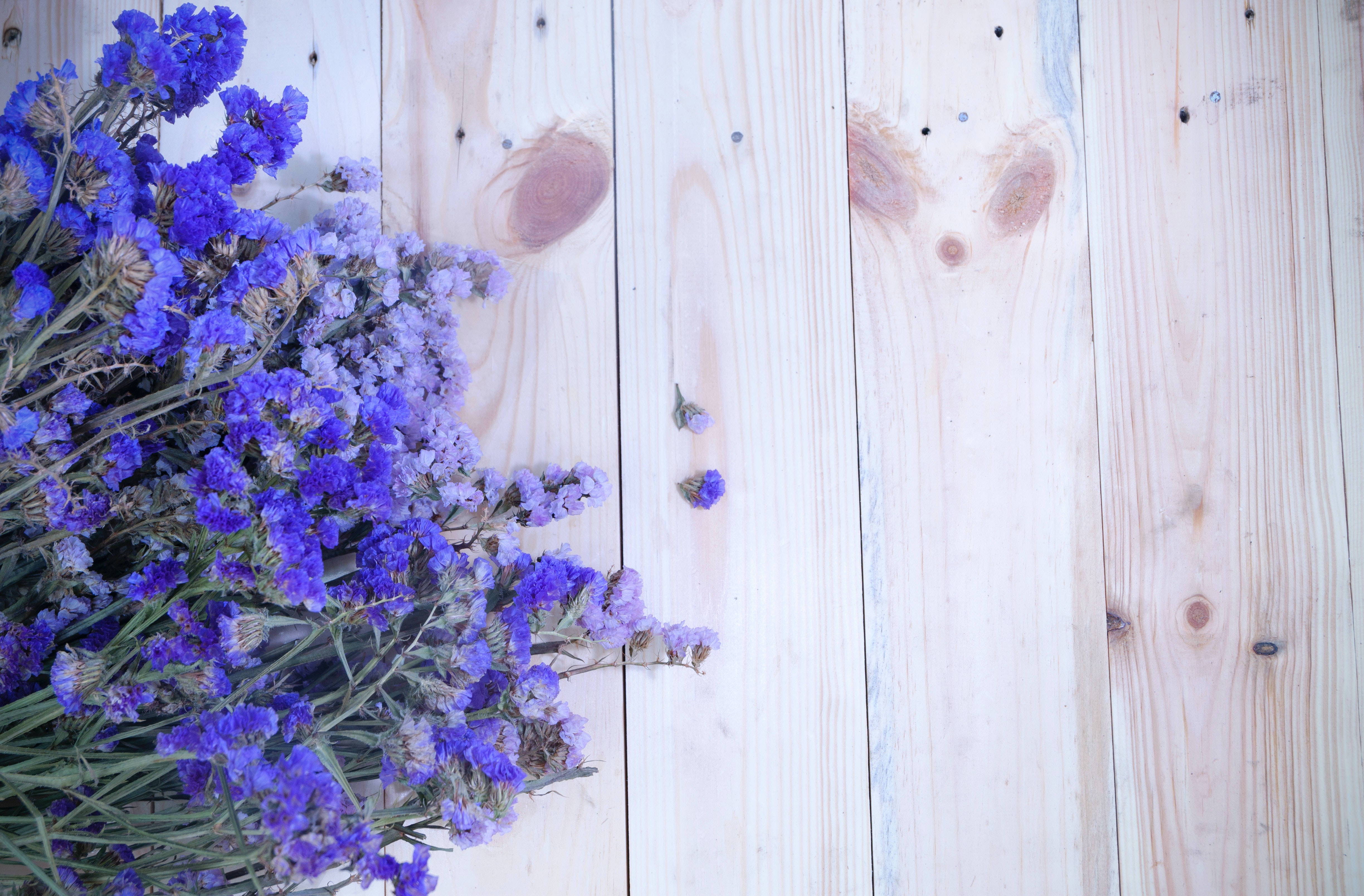 Flat-lay Of Lavender Desktop Wallpaper