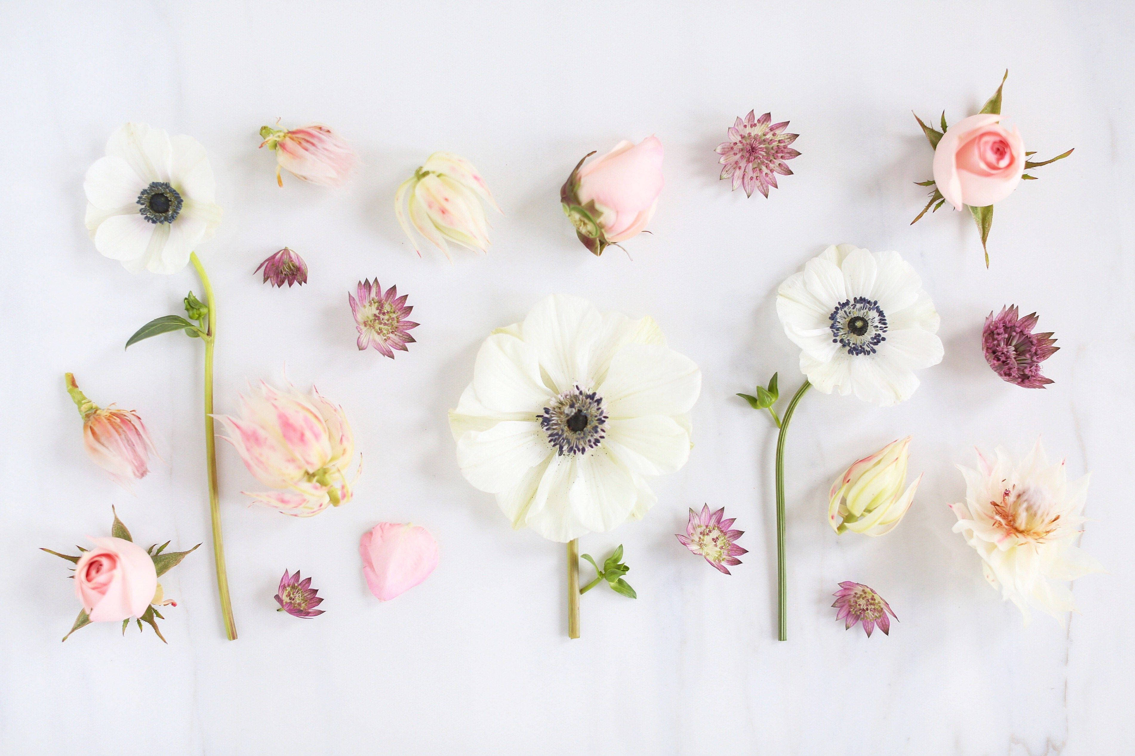 Floral Desktop With Various Flowers Wallpaper