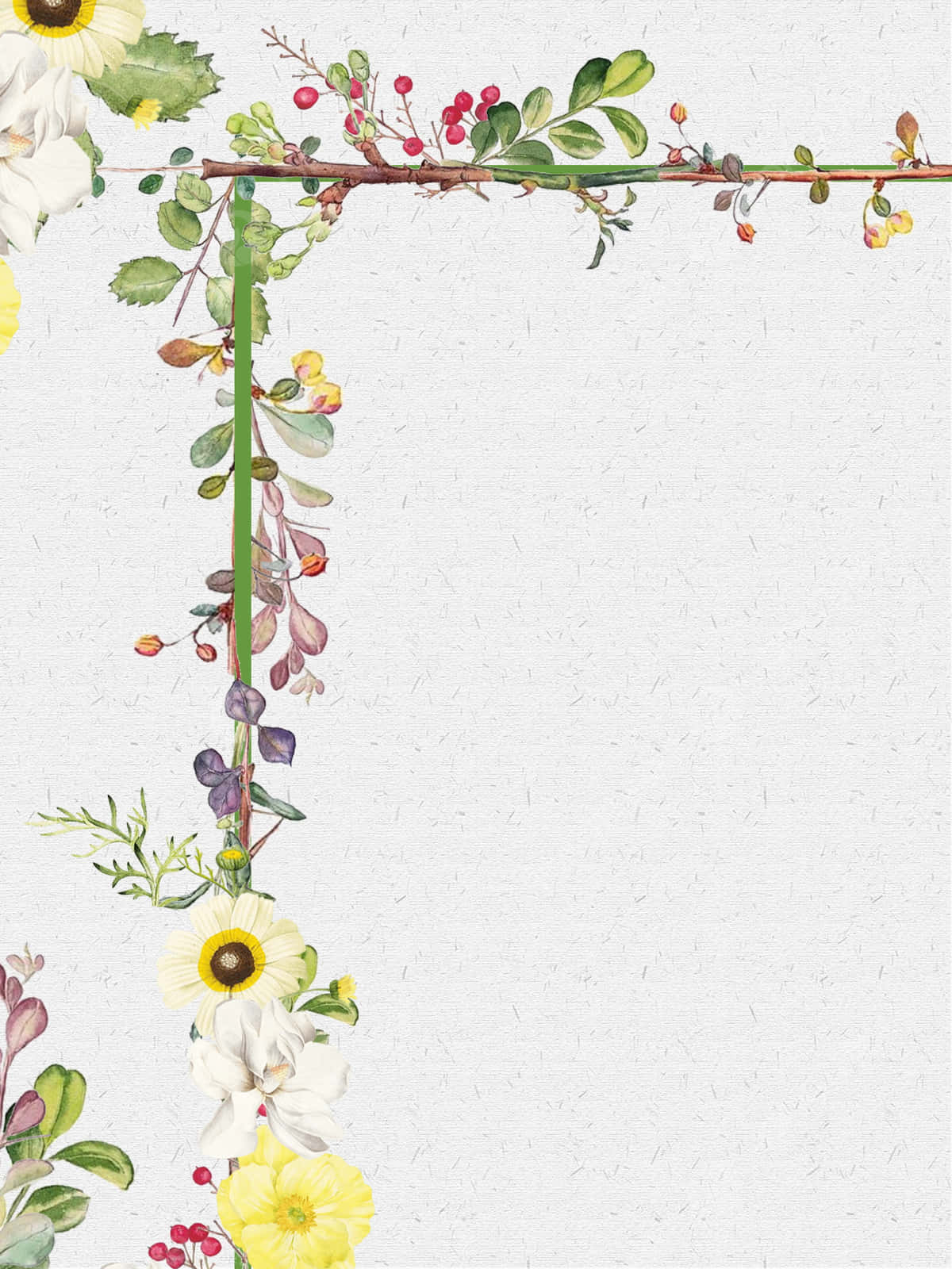 Floral Vine Border Design Wallpaper