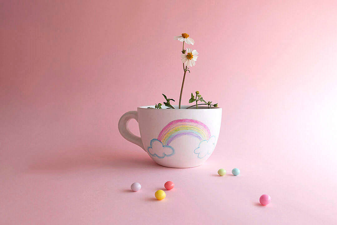 Flowers 4k Chamomile On Teacup Wallpaper