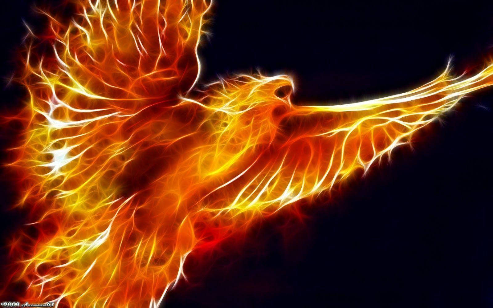 Flying Bird Fire Background Wallpaper