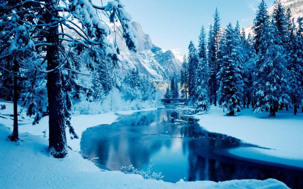 Forest Stream Winter Desktop Wallpaper