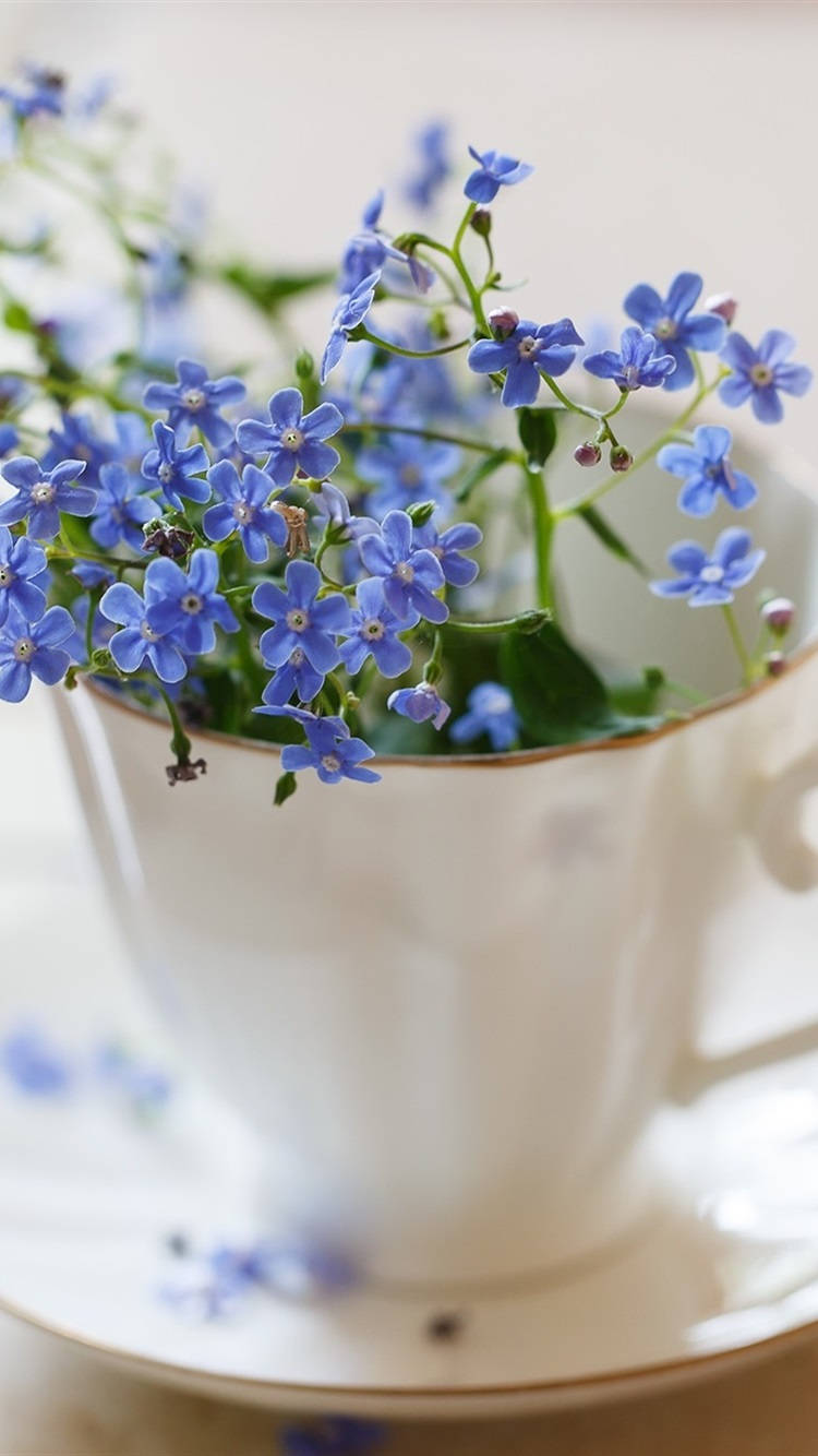 Forget Me Not Flower In A Cup Wallpaper