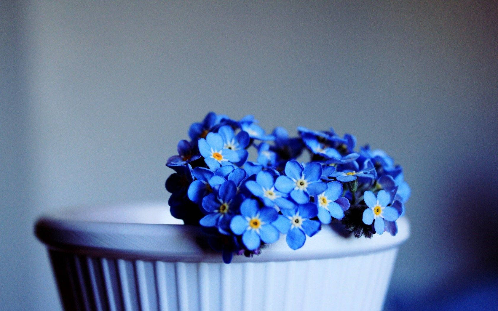 Forget Me Not Flowers In A Vase Wallpaper