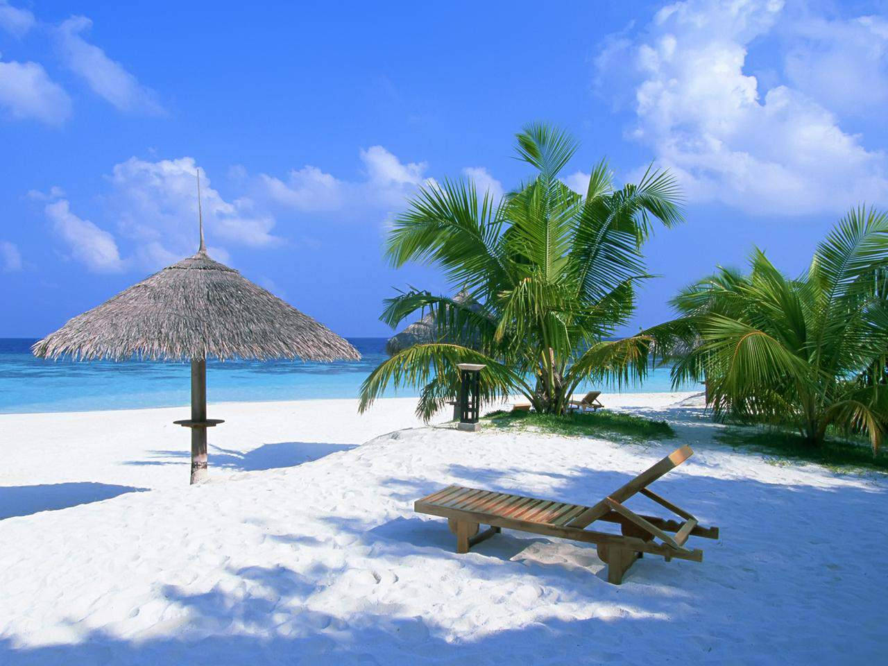 Free Image Beach White Sand Wallpaper