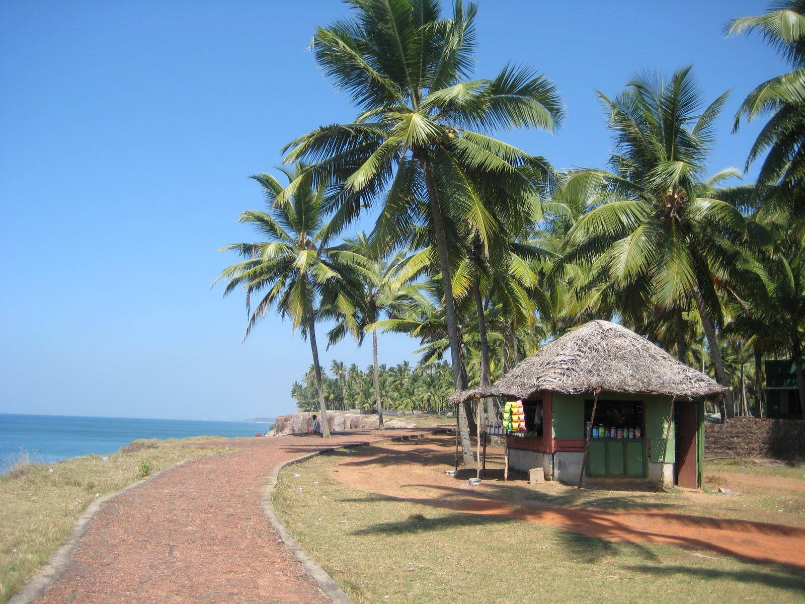 French Guiana Nipa Hut Wallpaper