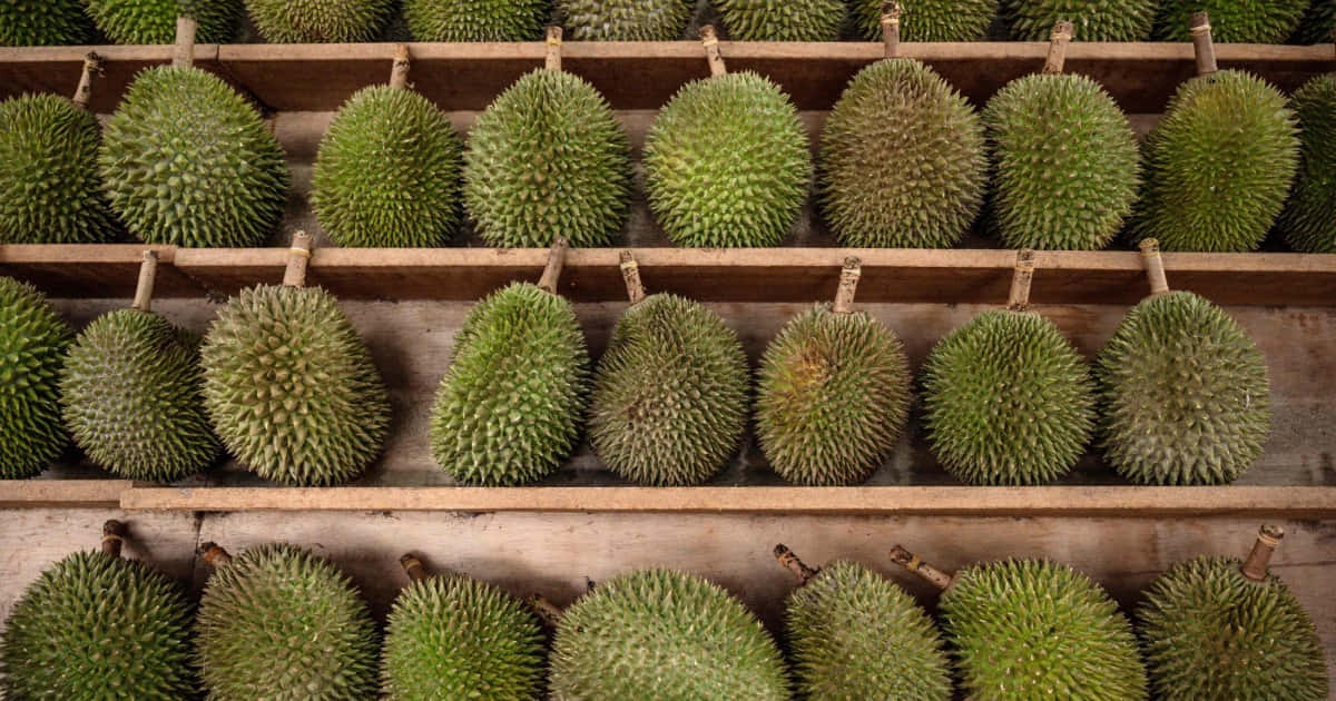 Fresh Durian Displayat Market Wallpaper