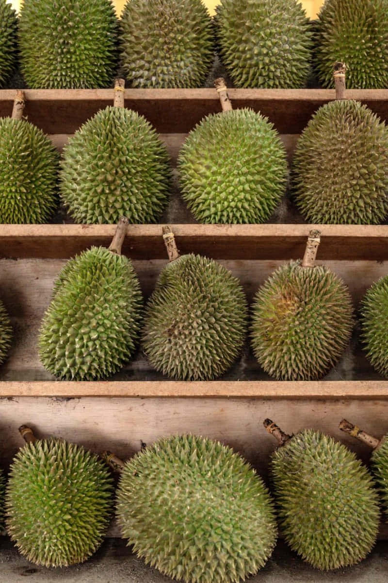 Fresh Durian Displayat Market.jpg Wallpaper