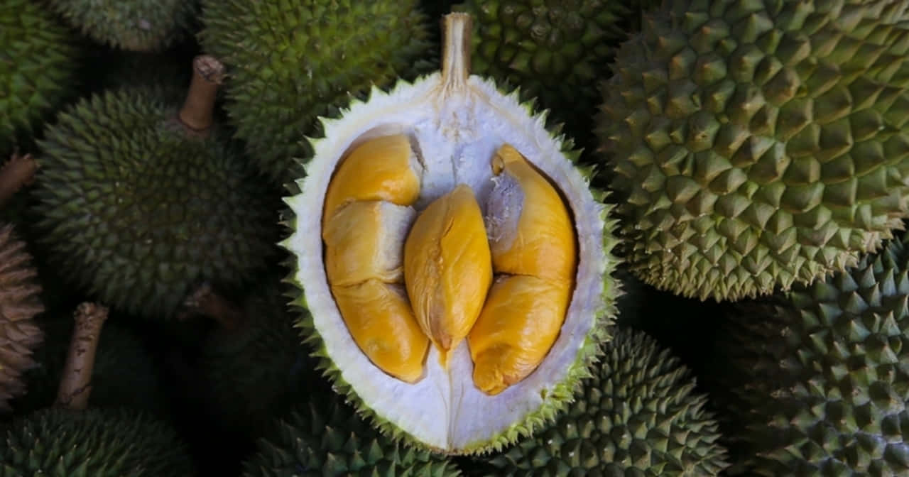 Fresh Durian Fruit Opened Amongst Others.jpg Wallpaper