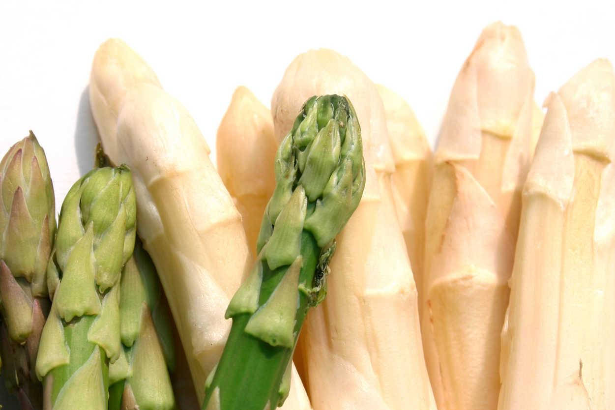 Fresh Green And White Asparagus Stalks Wallpaper