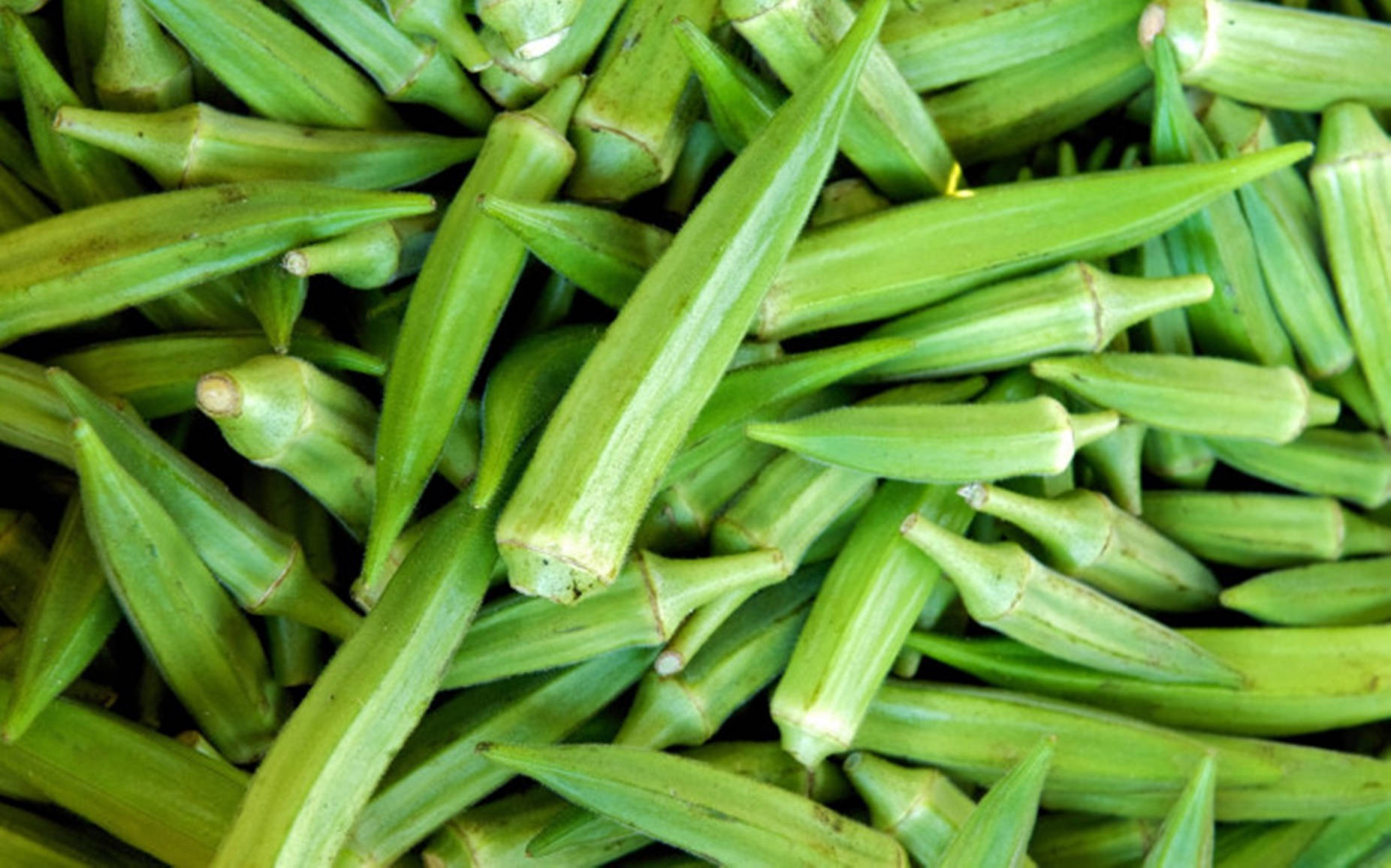 Fresh Green Okra Vegetable Wallpaper