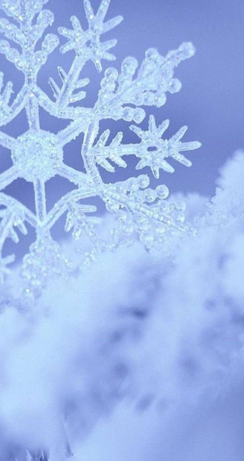 Frosted Snowflake At Snow Wallpaper