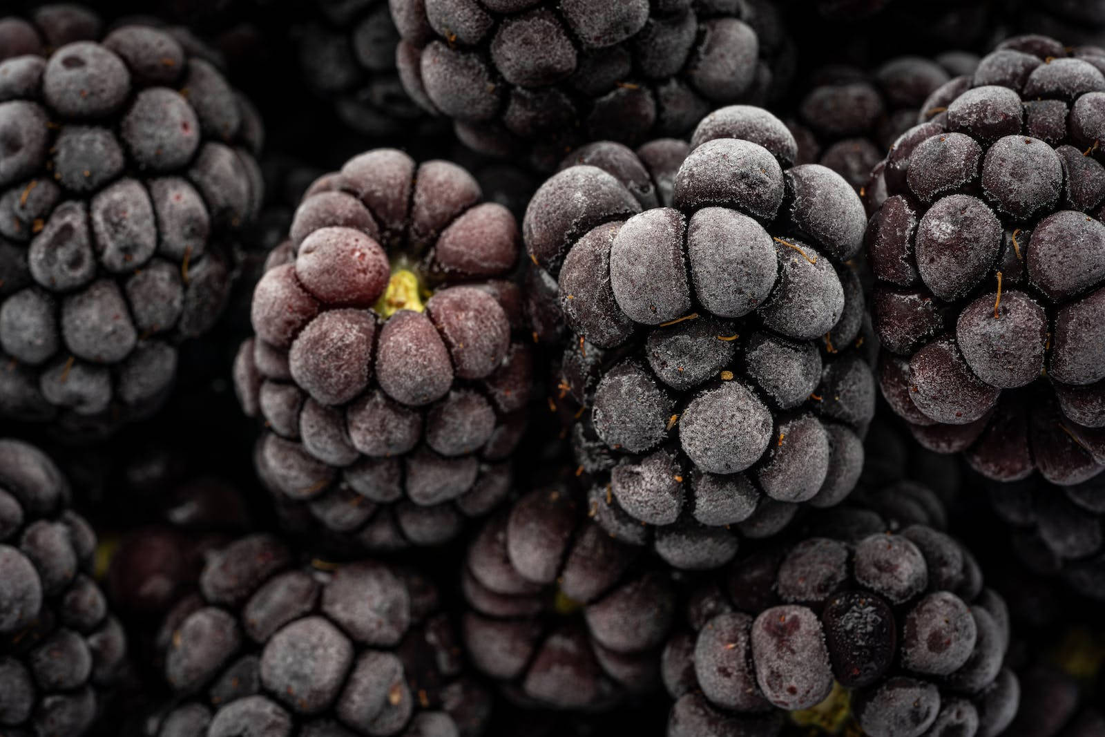 Frozen Blackberries Fruit Food Desktop Wallpaper
