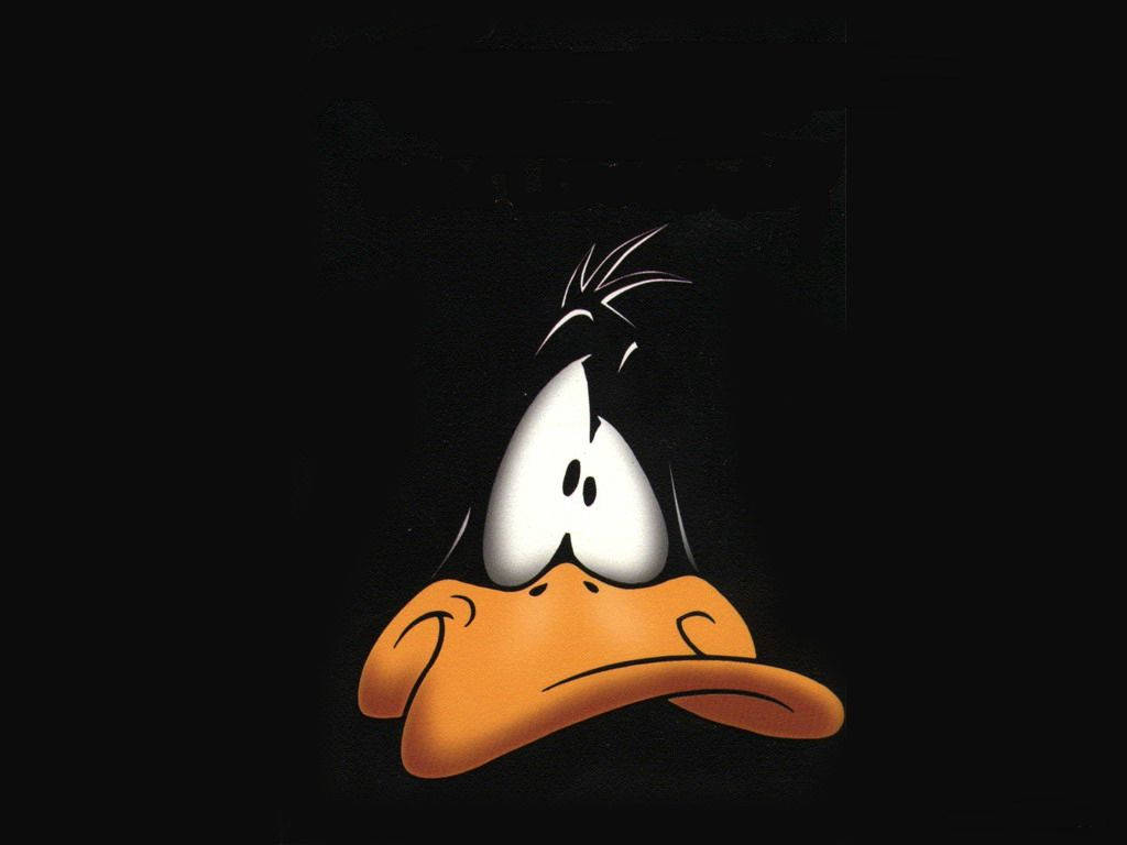 Funny Face Daffy Duck Wallpaper
