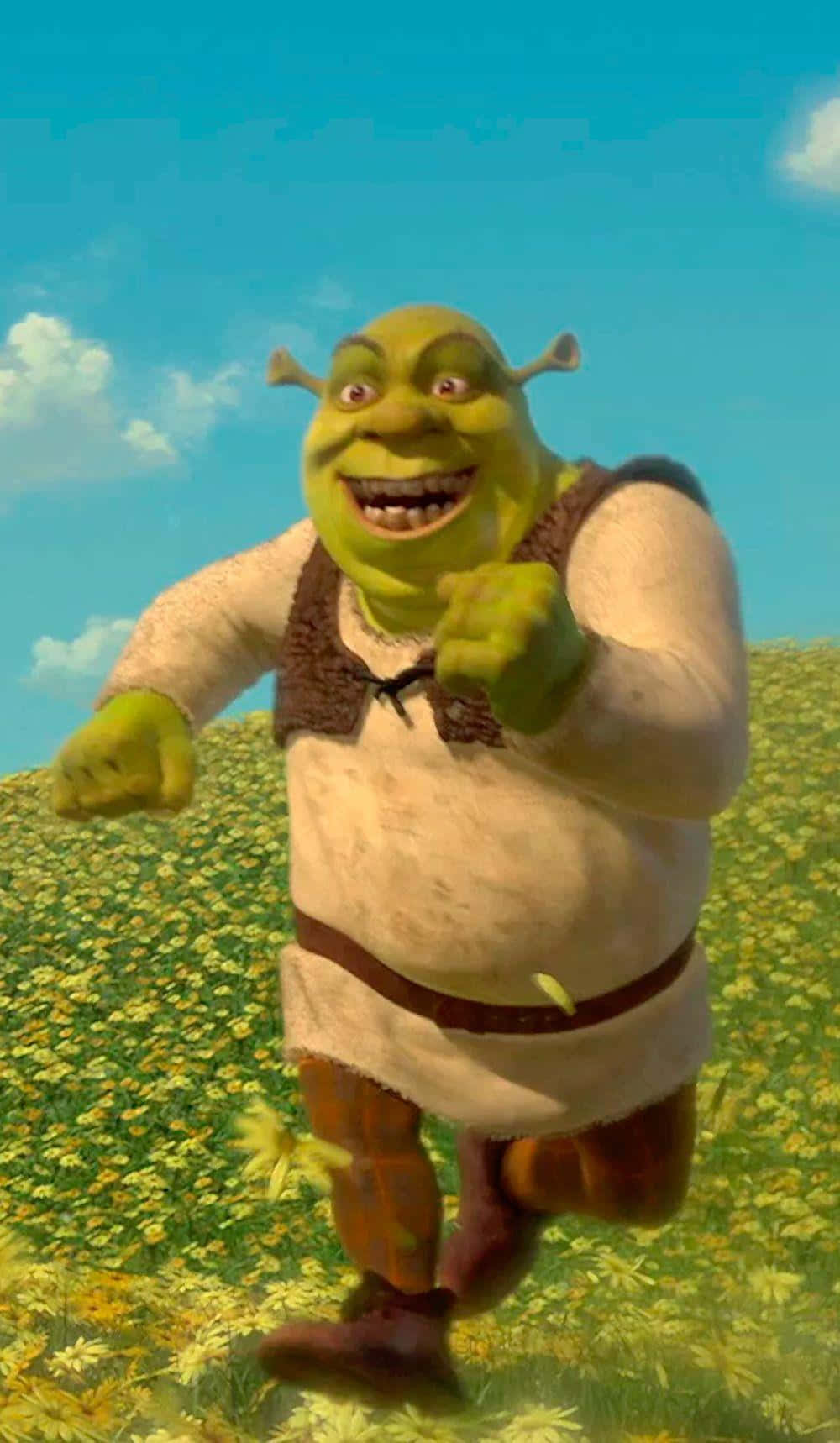 Funny Shrek Running On A Flower Field Wallpaper