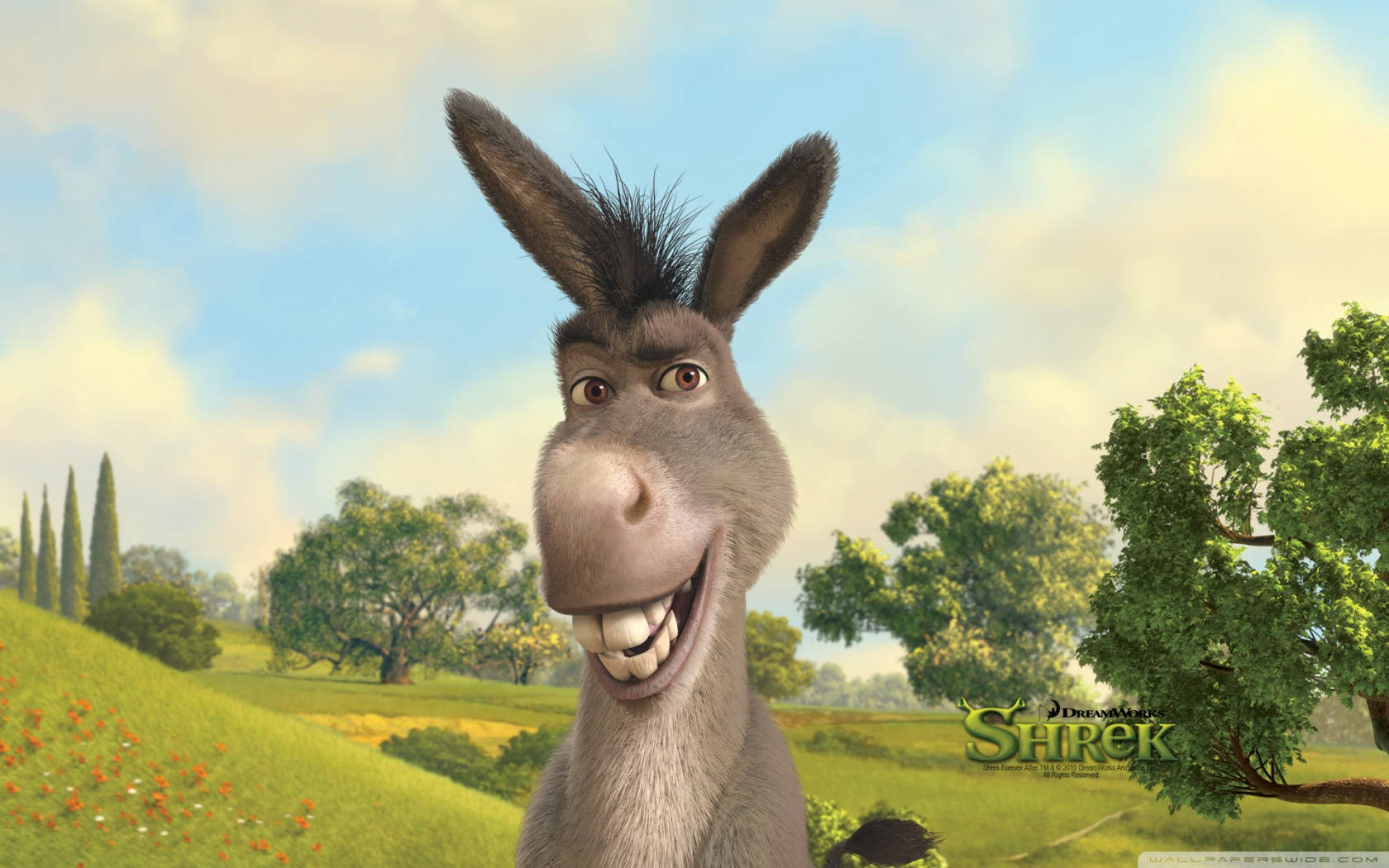 Funny Smiling Donkey Wallpaper