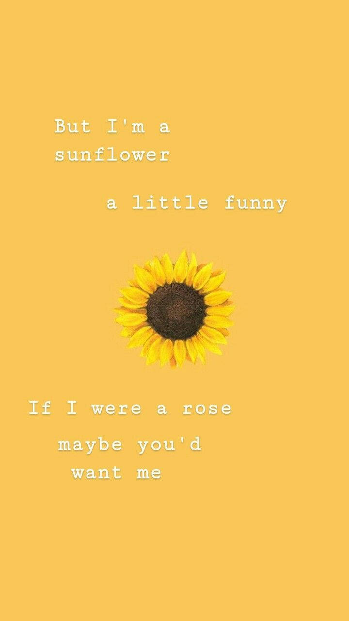 Funny Sunflower Cute Quotes Wallpaper