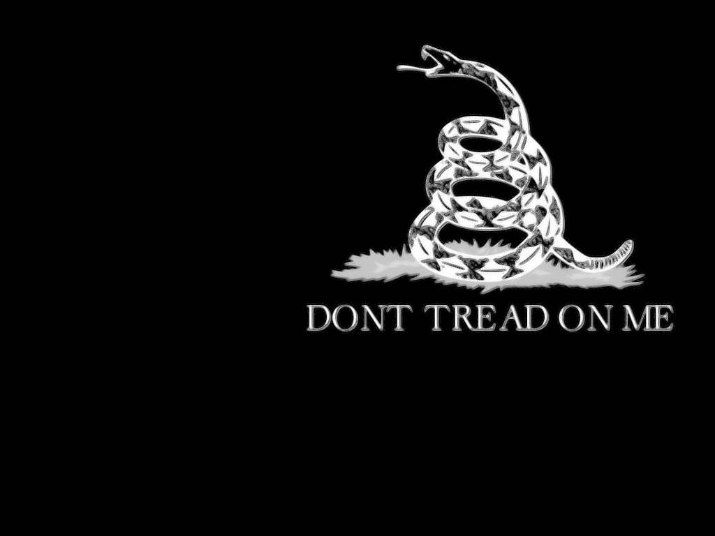 Gadsden Flag Black And White Snake Wallpaper