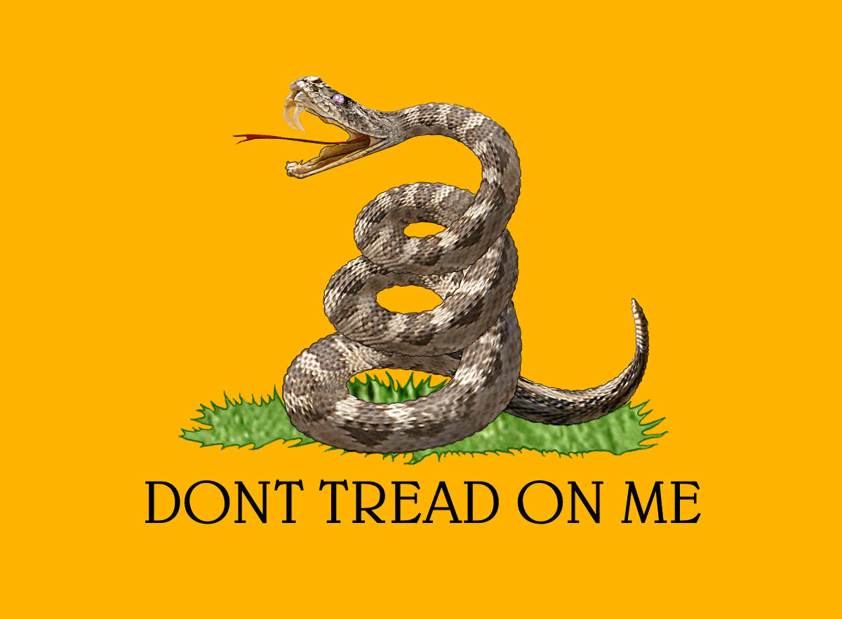 Gadsden Flag Orange Canvas Snake Wallpaper