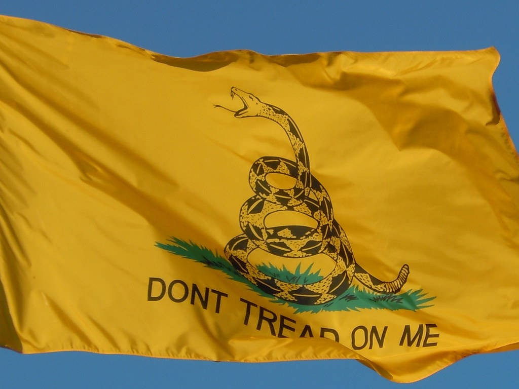 Gadsden Flag Raised On Pool Wallpaper