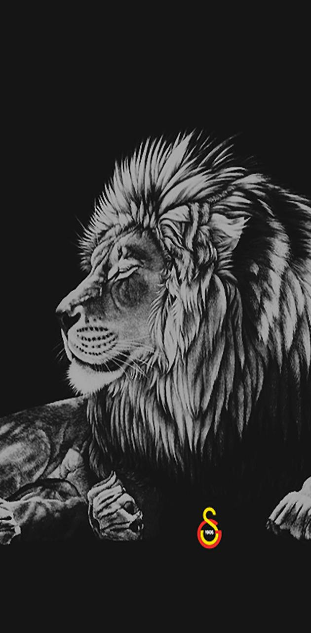 Galatasaray Grayscale Lion Wallpaper