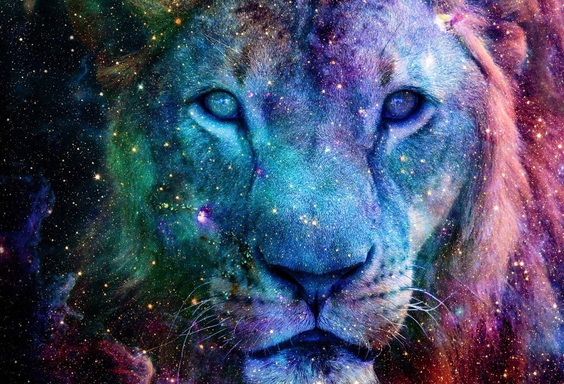Galaxy Lion Portrait Wallpaper