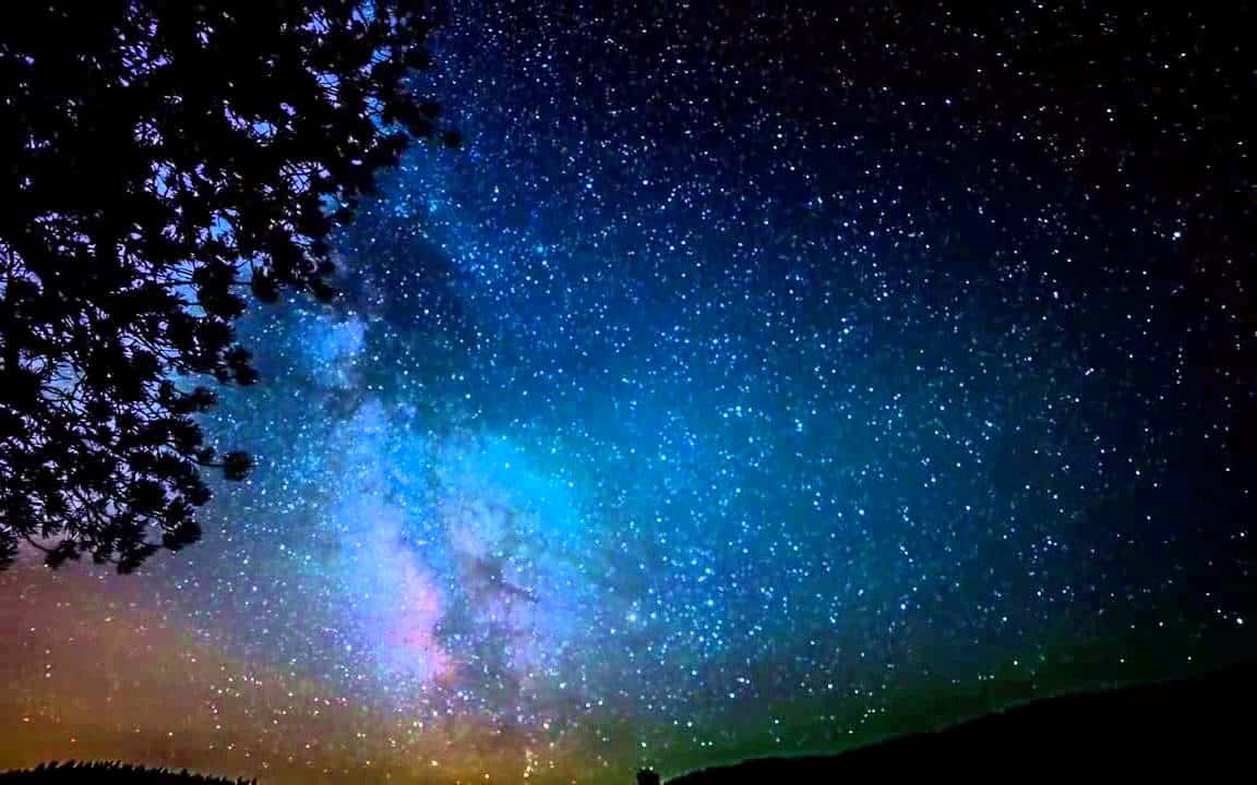 Galaxy Sky Tree Leaves Wallpaper