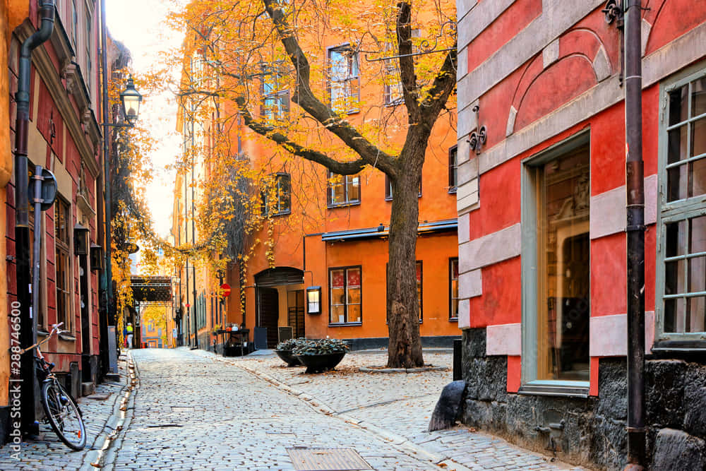 Gamla Stan Old Town Wallpaper