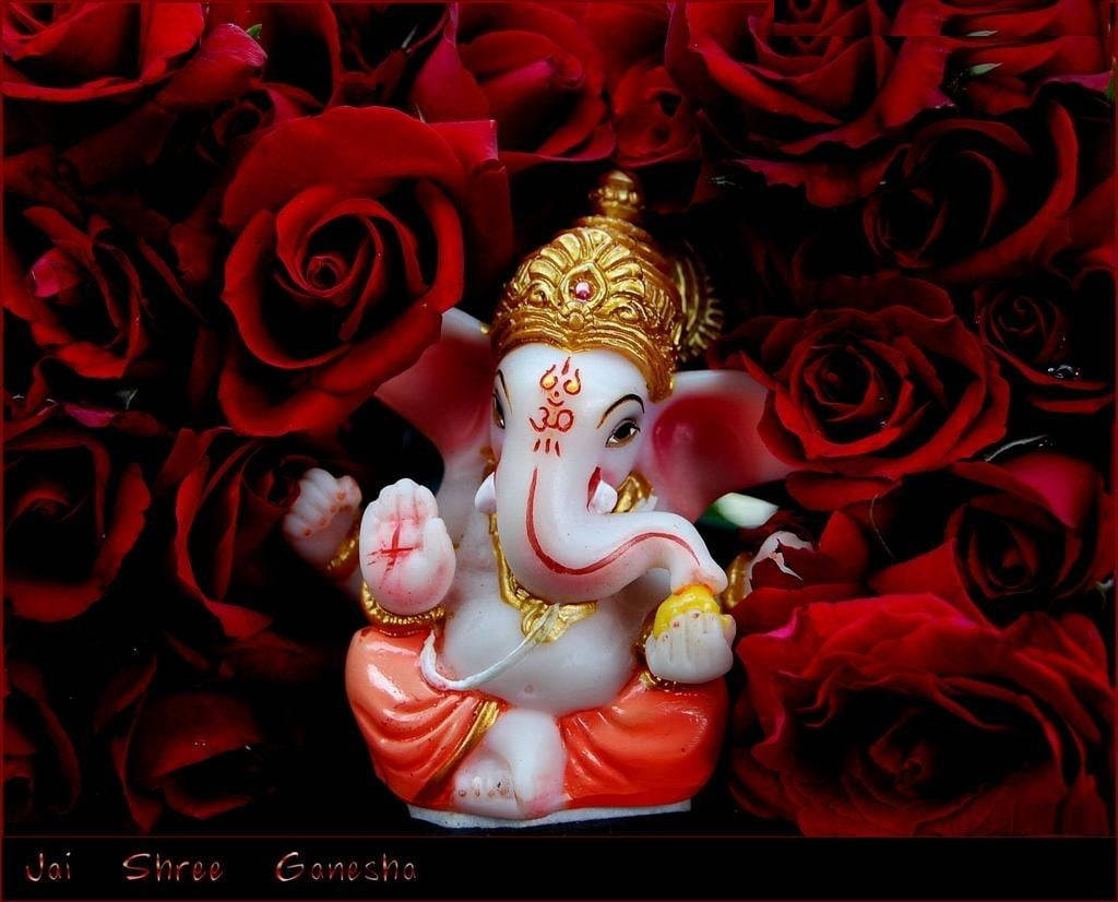 Ganesh Ji Hd Red Roses Wallpaper